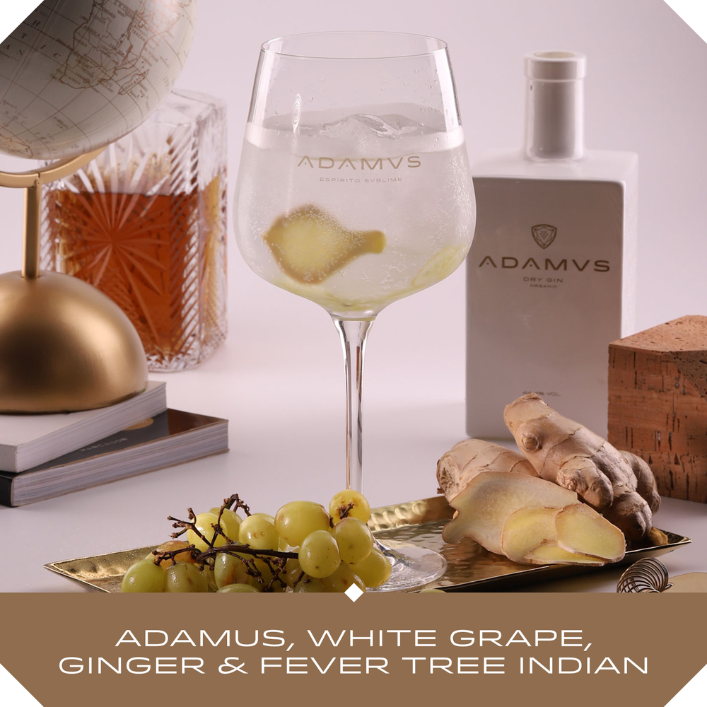 Adamus, White Grape, Ginger & Fever Tree Indian